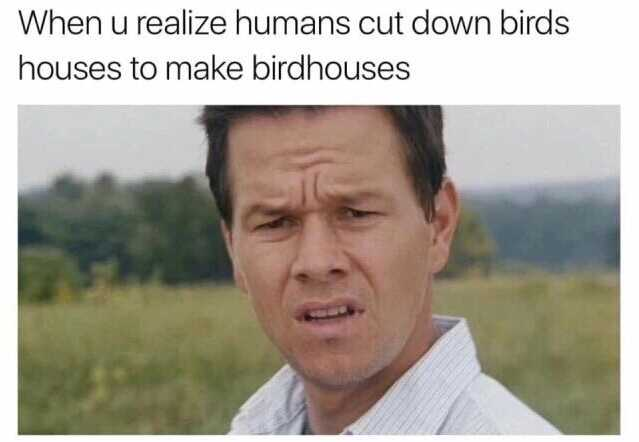 Confusion meme