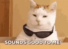 GIF of a cat with the caption 'sounds good to me'
