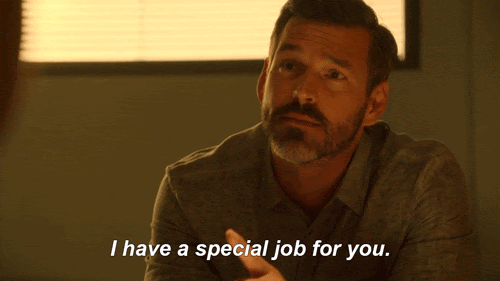 I have a special job for you GIF